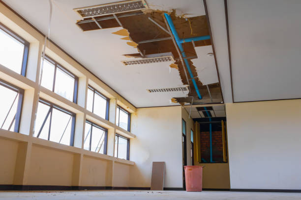 Best Carpet water damage restoration  in Lakeland, MN