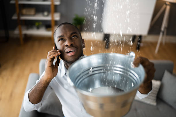 Best Emergency water damage restoration  in Lakeland, MN