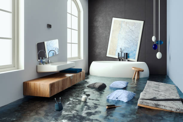 Best Water damage cleanup near me  in Lakeland, MN