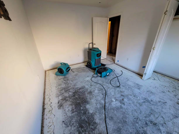 Best Sewage cleanup and water damage restoration  in Lakeland, MN