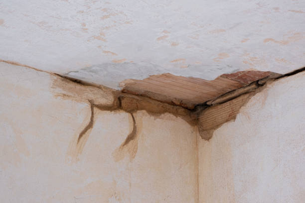 Best Commercial water damage restoration  in Lakeland, MN