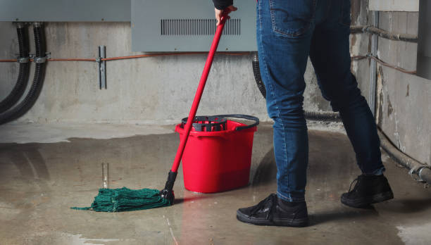 Best 24/7 water damage repair  in Lakeland, MN