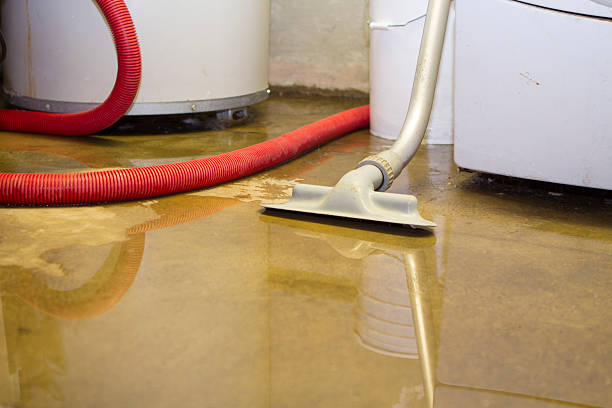 Best Flood damage cleanup  in Lakeland, MN
