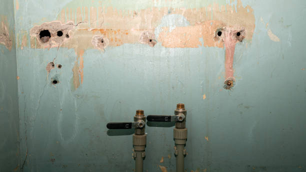 Best Flooded house restoration  in Lakeland, MN